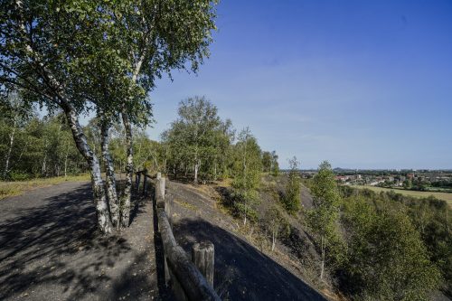 Terril du Pinchonvalles