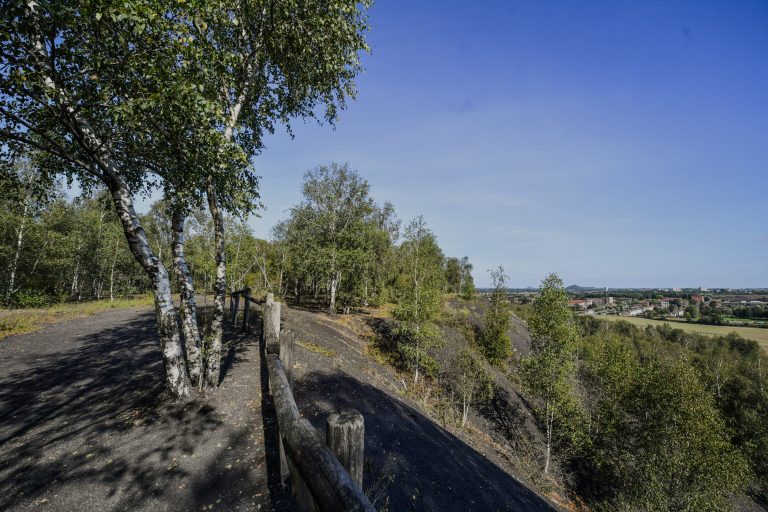 Terril du Pinchonvalles