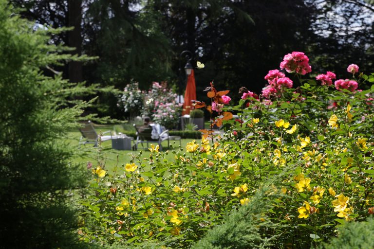 Le Château de Fresnoy - Fresnoy-en-Gohelle 17 ©CRT Hauts-de-France - Rémi Feuillette - Libres de droits
