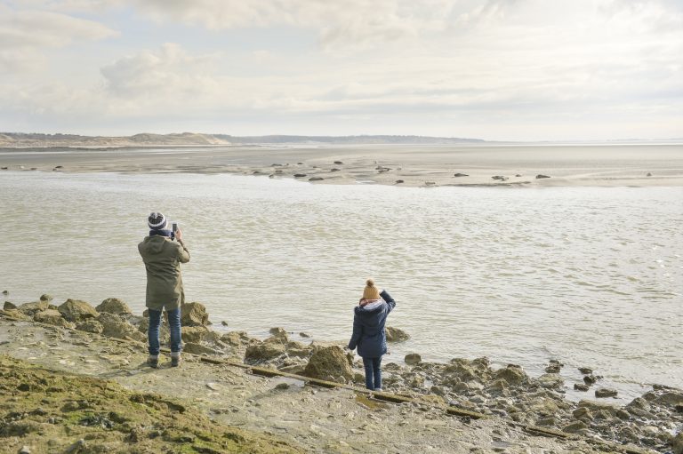 Baie d'Authie-phoques-hiver©Yannick cadart-CD62 (6)