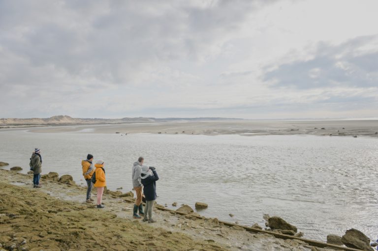 Baie d'Authie-phoques-hiver